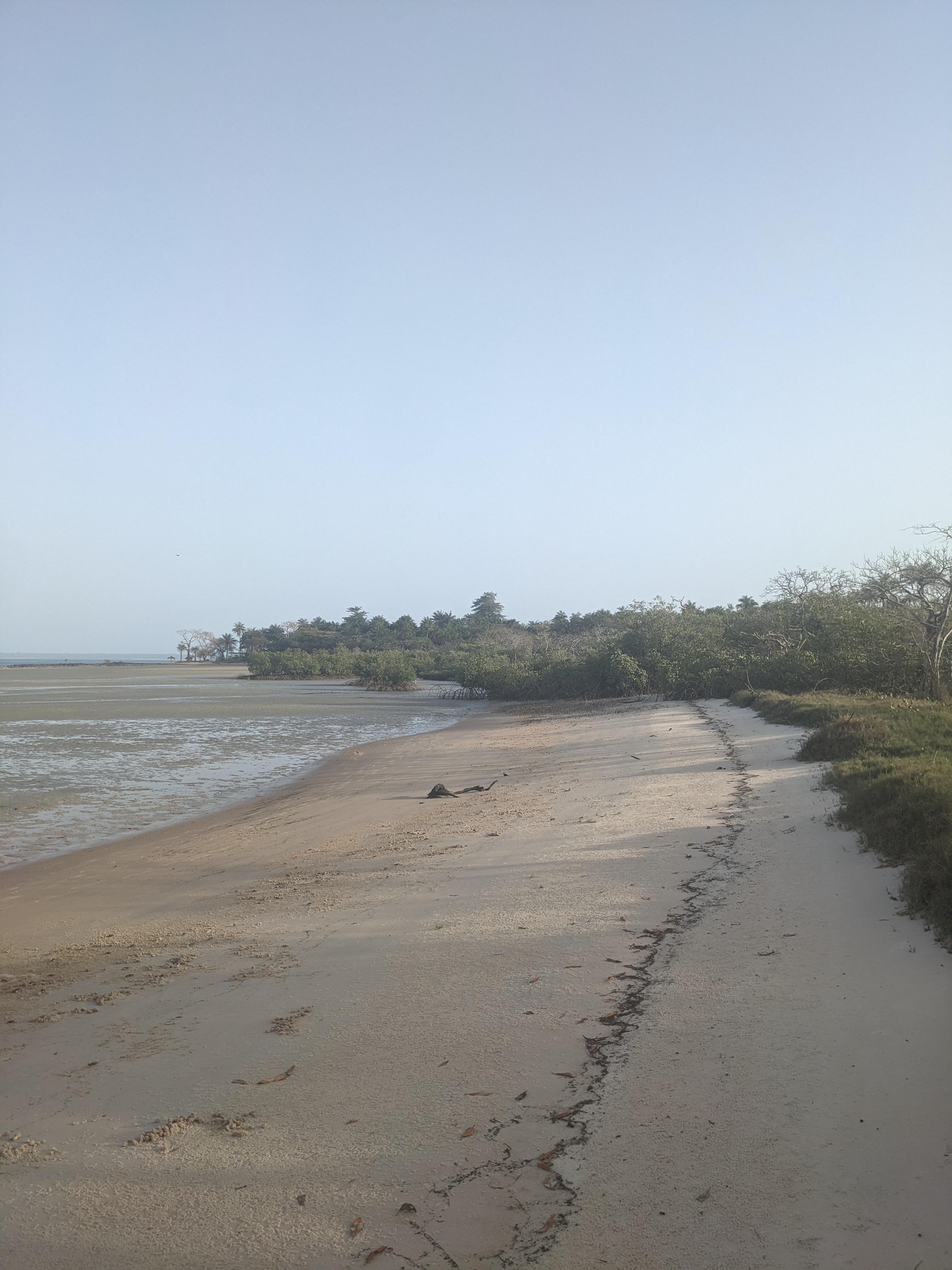 Guinea-Bissau