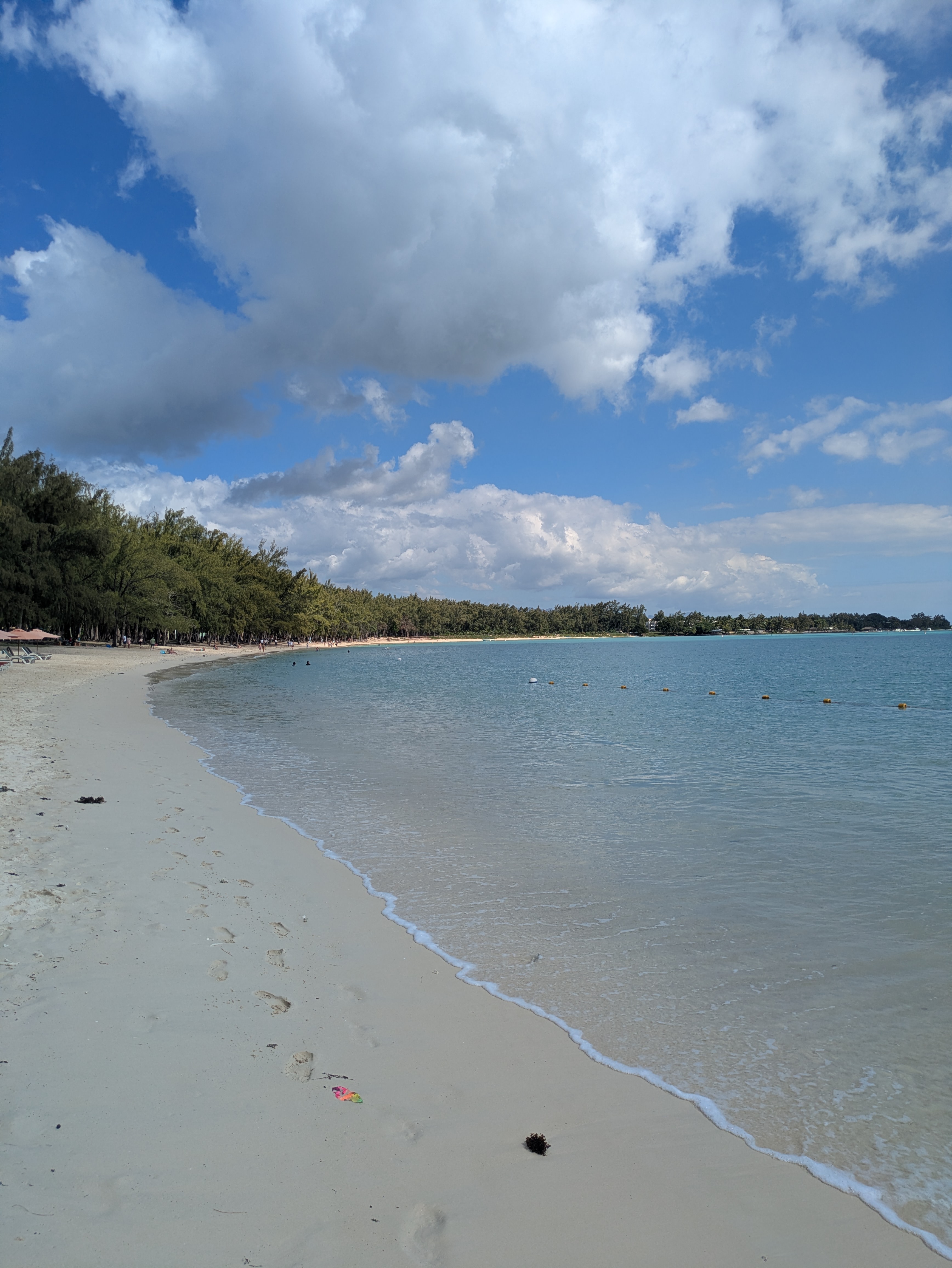 Mont choisy